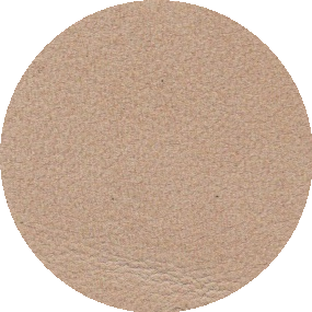 janua_leder_muscat_72008_caramel