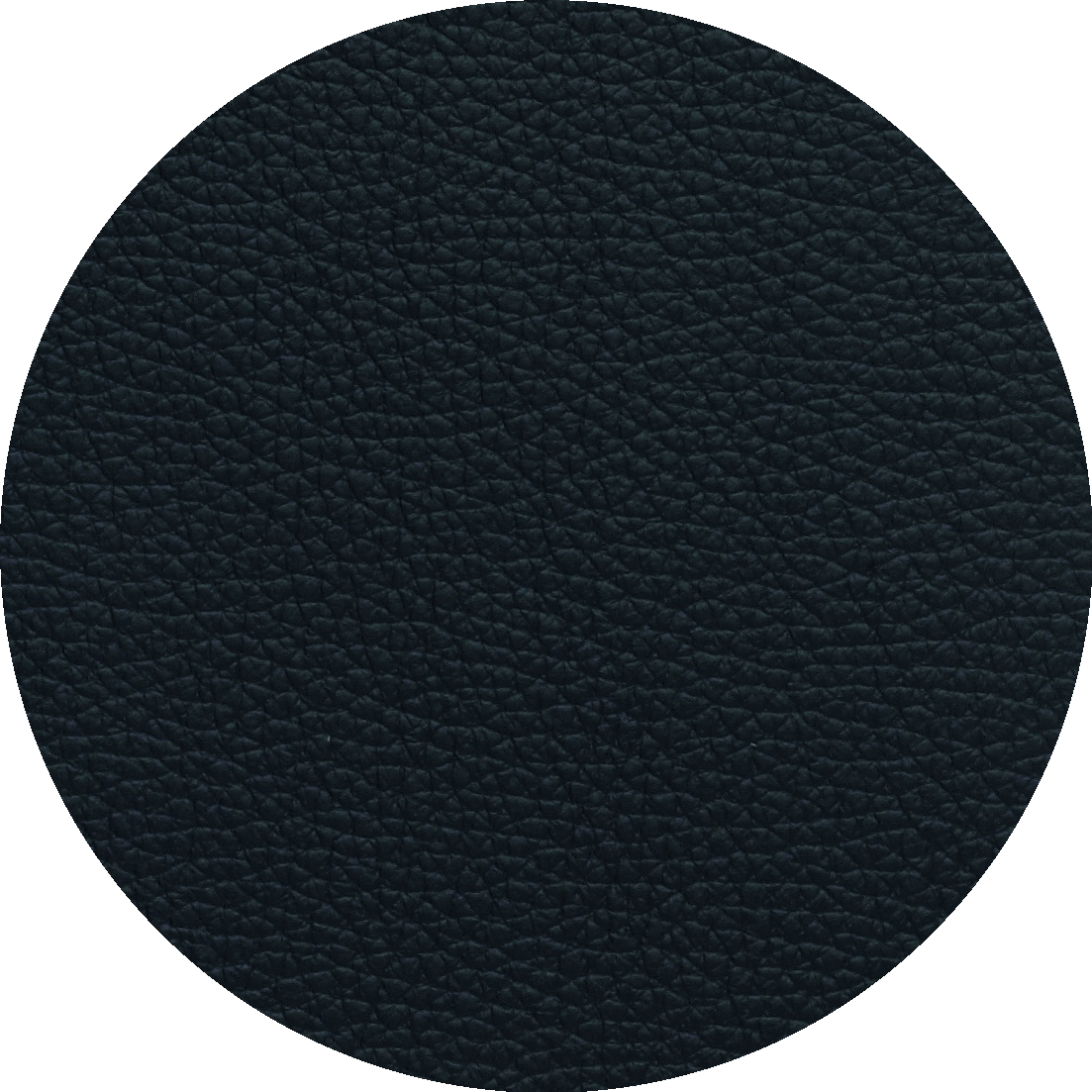 20001 Ebony