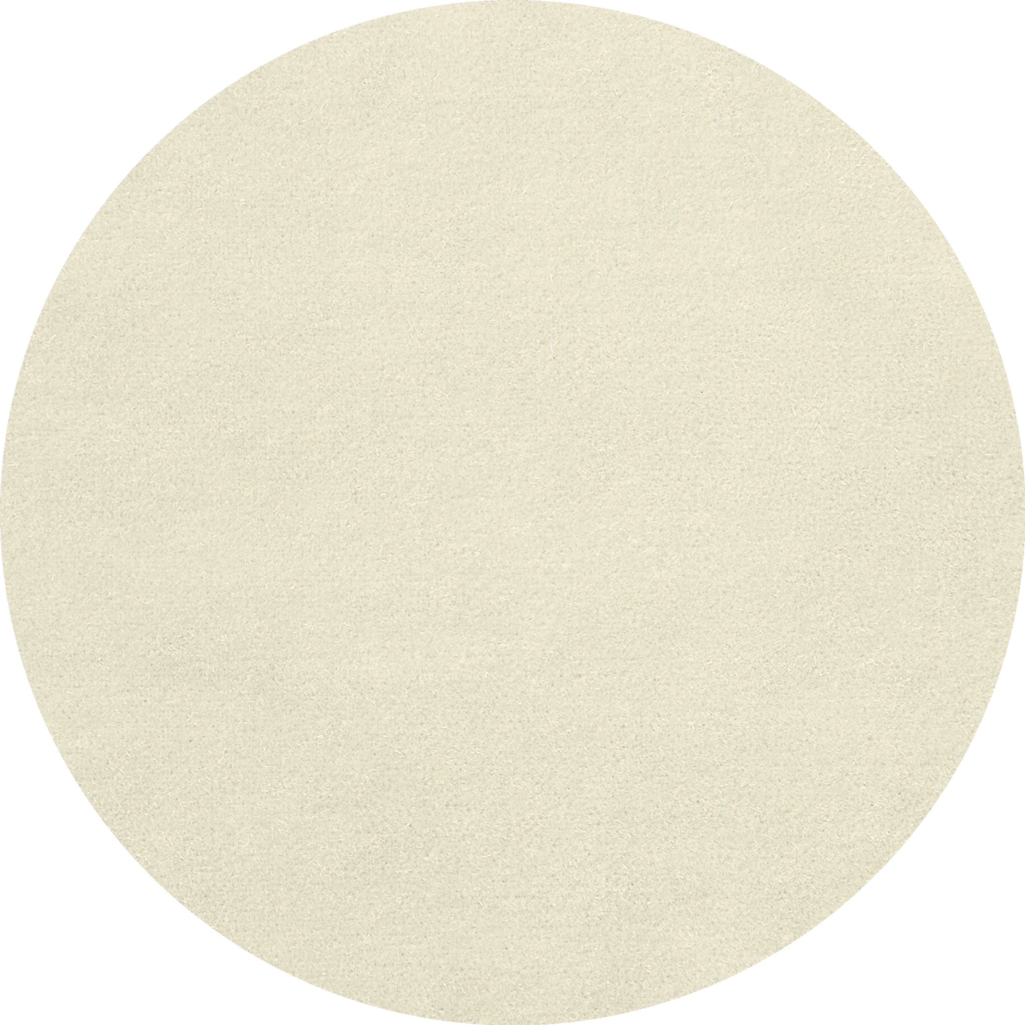 Bonquise