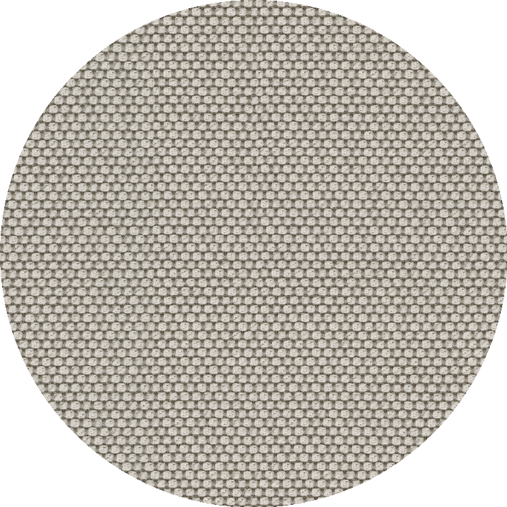 Macadamia